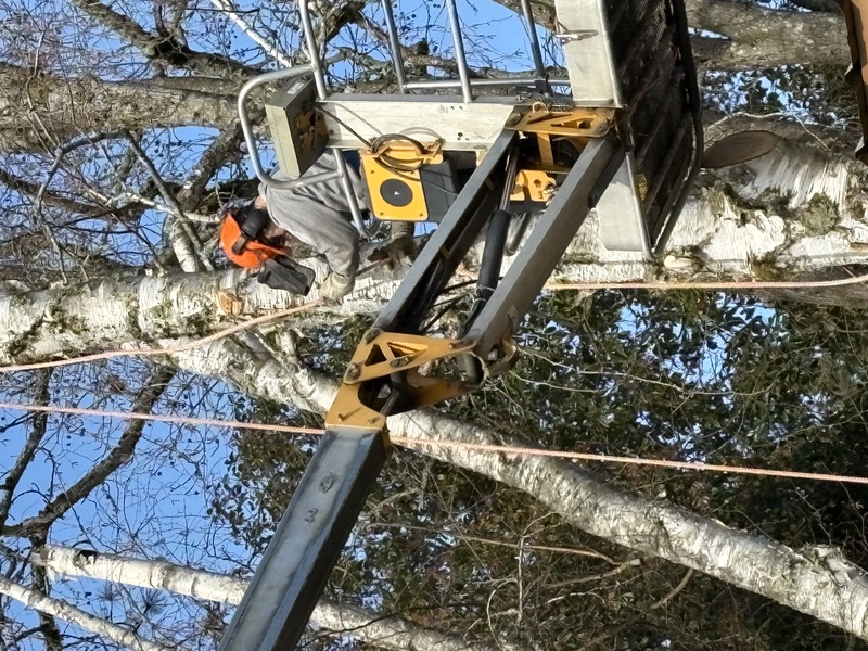 manlift work at height